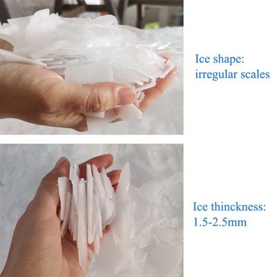 ICEMA Factory Supply Freshwater Ice Flake Making Machine Flake Ice Maker for fresh seafood fishery