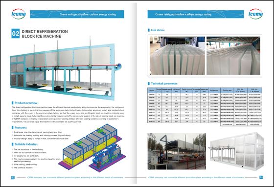 20 Tons Direct Cooling Ice Brick Making Machine Industrial