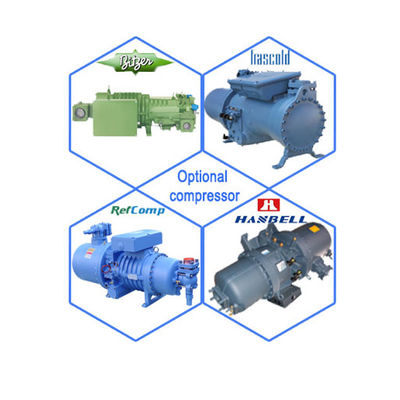 CE Approved Fishery Seafood 20 Tons  Direct Cooling Automatic Block Ice Maker Machine