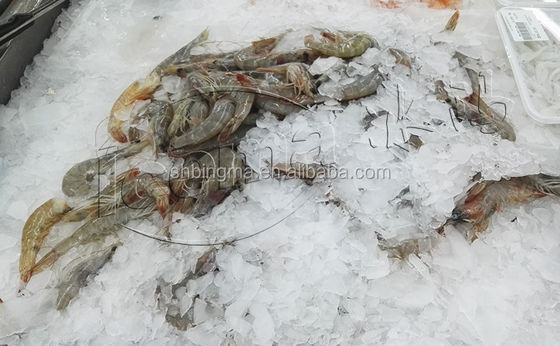 1 Tons Freshwater Flake Ice Machine Commercial 380V 220V