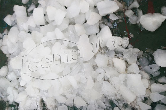 Household Juicer Ice Crusher Commercial Hotel Outdoor