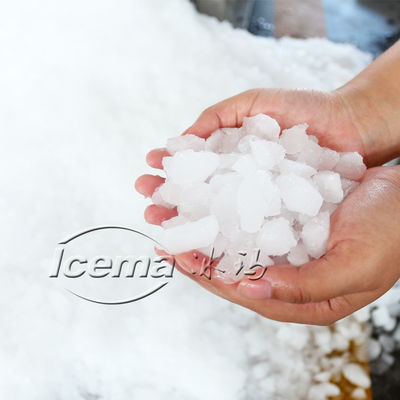 Carbon Steel SUS304 Material Industrial Ice Crusher Maker