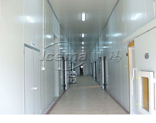 High quality Cold Room by keeping food fresh in industrial