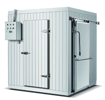 Good price 800 Ton Freezer In Cold Room 100mm 200mm 120mm 75mm online