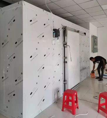 Commercial Cold room price 20ft container walk in freezer cold storage for keep fresh fruits /vegetables /fish/transportation