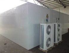 Commercial Cold room price 20ft container walk in freezer cold storage for keep fresh fruits /vegetables /fish/transportation