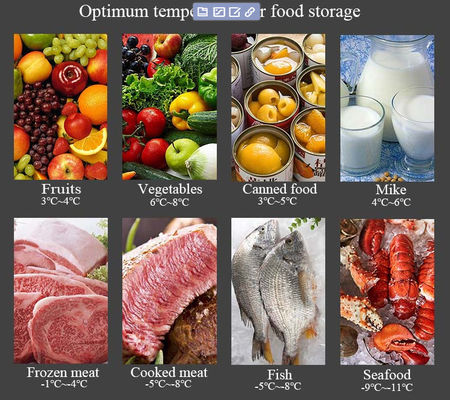 Direct Factory Price congelateur commercial refrigerator Refrigerated & Dual Temperature vertical freezer for household hotel