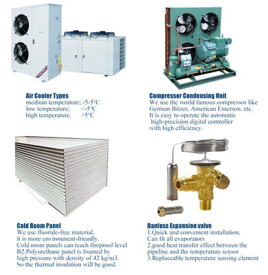 Commercial Cold Room Freezer For Fruits And Vegetables