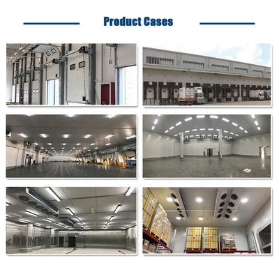 Fruit Vegetable Fish Cool Room And Freezer Commercial