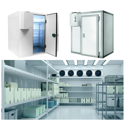 Fruit Vegetable Fish Cool Room And Freezer Commercial