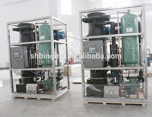 Professional Stainless Steel 25 Tons Tube Ice Machine for Industrial Applications
