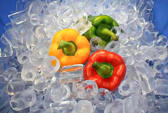 Professional Stainless Steel 25 Tons Tube Ice Machine for Industrial Applications