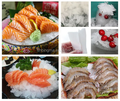 High Productivity 10T/24H Industrial Ice Flake Making Machine for Fishing Seafood